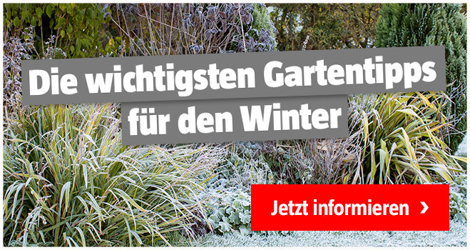 Gartenpflege Januar