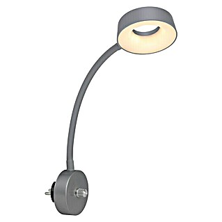 Globo Led-wandlamp Lehovo (b x h: 26 x 45,5 cm)