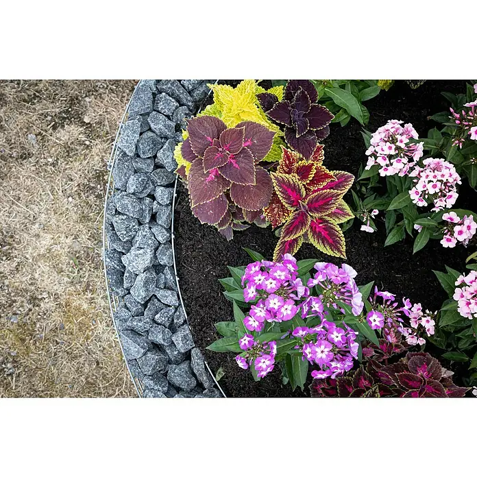 Gabiona Hochbeet - 172 x 80 cm - Nahaufnahme eines kreisförmigen Blumenbeets mit bunten Coleus-Pflanzen und Phloxblüten, umrandet von grauen Steinen und Metalldraht.