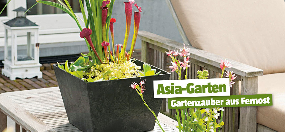 DIY Schöner Sichtschutz selbst gebaut - Gartenzauber