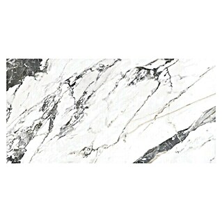 Pavimento porcelánico Tinenza (60 x 30 cm, Blanco Carrara, Brillante, Rectificado)