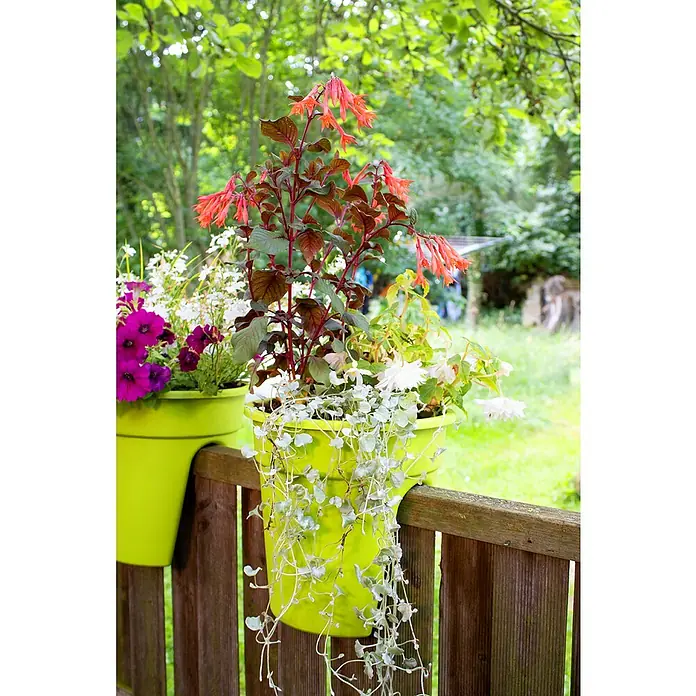 KHW Geländertopf Flowerclip - Außenmaß (Ø x H): 27 x 27,5 cm, Kunststoff, Grün - Nahaufnahme von zwei übereinander hängenden, leuchtend grünen Pflanzgefäßen mit üppigen Blumen auf einem rustikalen Holzzaun.