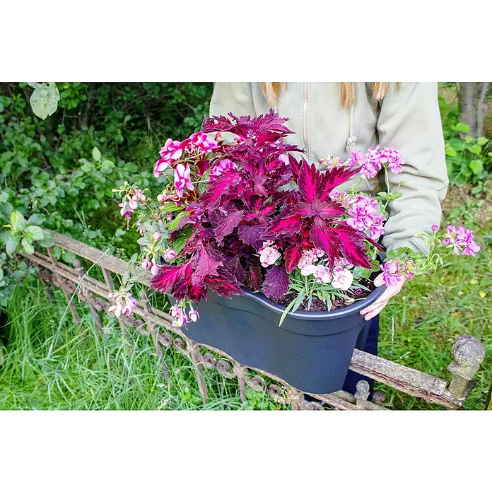 KHW Gelnderkasten Flowerclip XL
