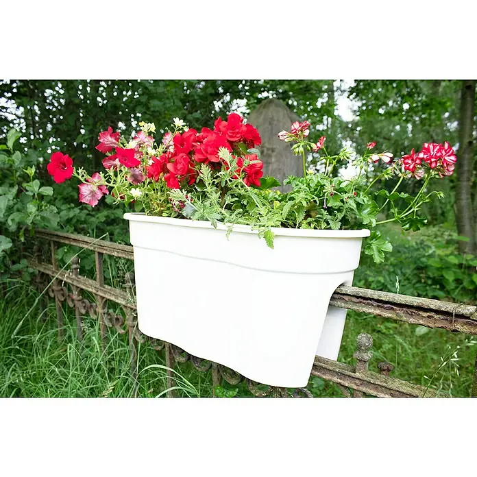 KHW Geländerkasten Flowerclip XL - Außenmaß (L x B x H): 57,5 x 27,7 x 27,5 cm, Kunststoff, Weiß - Ein weißer Blumenkasten mit farbenfrohen Blumen hängt an einem verrosteten Zaun und sorgt für eine natürliche, dekorative Note im Garten.