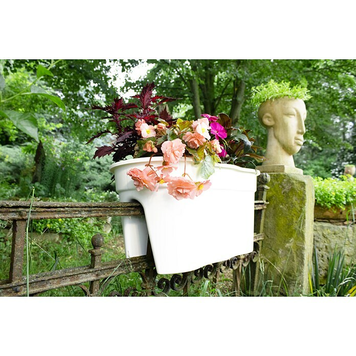 KHW Geländerkasten Flowerclip XL (Außenmaß (L x B x H): 57,5 x 27,7 x 27,5  cm, Kunststoff, Weiß) | BAUHAUS | Blumenkästen