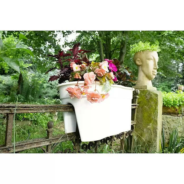 KHW Geländerkasten Flowerclip XL - Außenmaß (L x B x H): 57,5 x 27,7 x 27,5 cm, Kunststoff, Weiß - Weißer Balkonkasten mit bunten Blumen, hängt an einem rostigen Gartenzaun.