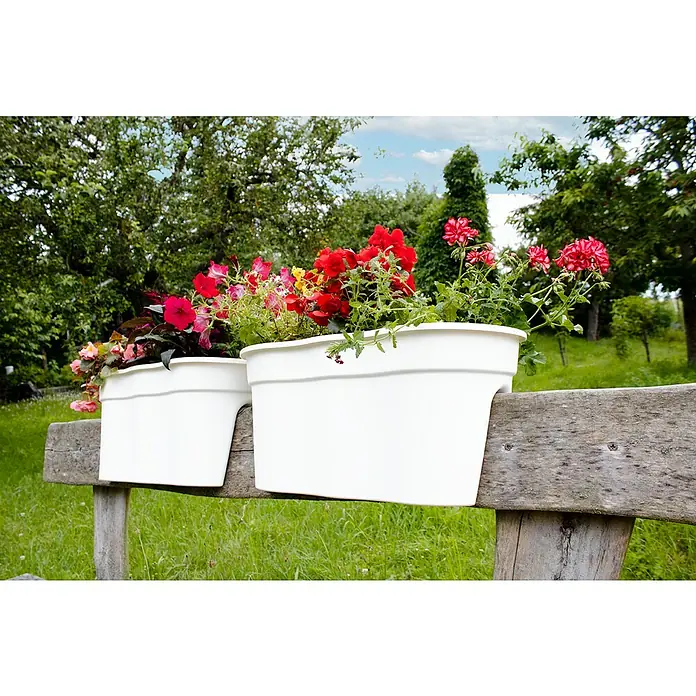 KHW Geländerkasten Flowerclip XL - Außenmaß (L x B x H): 57,5 x 27,7 x 27,5 cm, Kunststoff, Weiß - Zwei weiße Pflanzkästen mit farbenfrohen Blumen, die auf einer hölzernen Gartenbank stehen und eine charmante Atmosphäre im Freien schaffen.