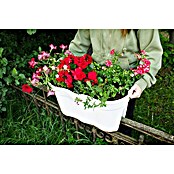 KHW Geländertopf Flowerclip XL (2 Stk., 57,5 cm, Weiß)