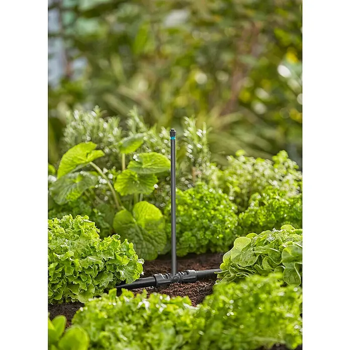Gardena Micro-Drip Tobera pulverizadora - 5 ud., 360° - Primer plano de un sistema de riego en medio de un exuberante jardín con lechuga y otras plantas. El sistema garantiza un riego eficiente.