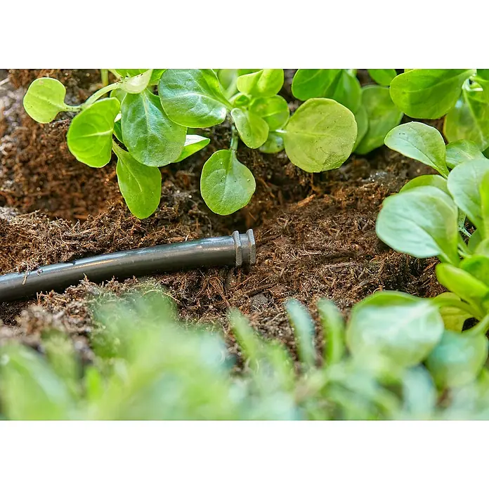 Gardena Micro-Drip Tapón de sellado - 10 ud., ³⁄₁₆'' - Sistema de riego con tubos de goteo negros entre plántulas verdes que crecen en suelo rico, asegurando un riego eficiente del jardín.