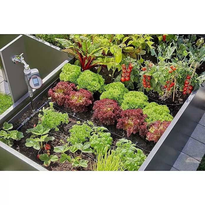 Gardena Micro-Drip Bewässerungs-Set Hochbeet/Beet Start-Set - 35 -tlg., Geeignet für: Reihenbewässerung, 35 Pflanzen - Modernes, graues Hochbeet gefüllt mit frischem Salat, Tomaten, Erdbeeren und Kräutern, mit integriertem Bewässerungssystem.