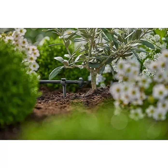 Gardena Micro-Drip Endtropfer druckregulierend - 10 Stk., Max. Wasserdurchfluss: 2 l/h - Schwarzer Gardena Bewässerungstropfer bewässert eine kleine Pflanze in brauner Erde.