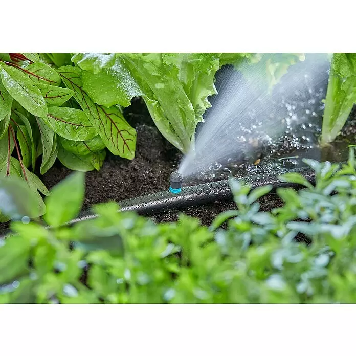 Gardena Micro-Drip Endstreifendüse - 5 Stk. - Ein Mikrosprinkler aus einem schwarzen Tropfbewässerungssystem bewässert frische grüne Gartenpflanzen.