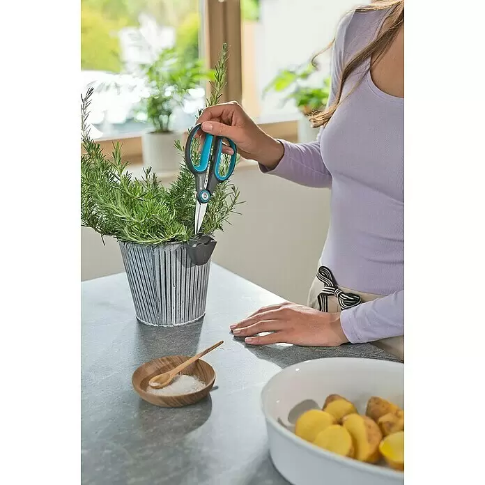 Gardena Schere HerbCut mit Holter - Geeignet für: Kräuter - Blaue und schwarze Gartenschere schneidet Rosmarin von einer Topfpflanze in der Küche.