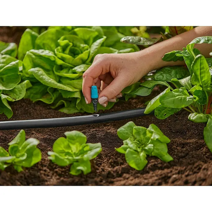 Gardena Micro-Drip Kleinflächendüse - 10 Stk., 1/2" x 13 mm - Nahaufnahme einer Hand, die ein Bewässerungssystem an ein Beet mit Salatpflanzen anschließt.