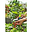 Gardena Erntemesser VeggieCut (Länge: 20,3 cm) | BAUHAUS
