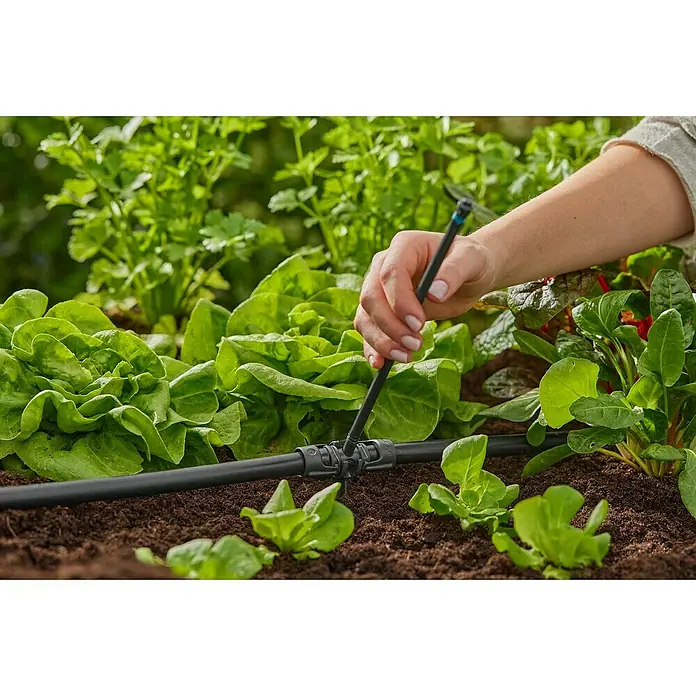 Gardena Micro-Drip Tubo prolongador para boquillas pulverizadoras - 5 ud., Largo: 20 cm - Una persona instala un sistema de riego por goteo para un huerto exuberante, asegurando una hidratación óptima para las plantas.