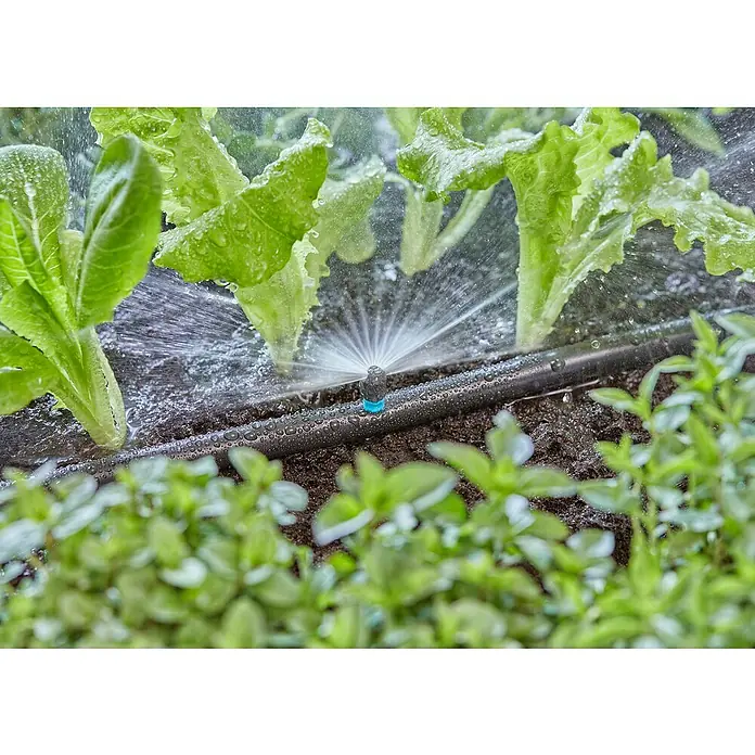 Gardena Micro-Drip Tobera pulverizadora 180° - 5 ud., 180° - Sistema de riego por aspersión que riega lechuga verde y hierbas, asegurando una hidratación y crecimiento óptimos.