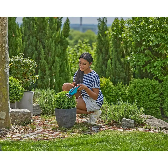 Gardena ComfortCut Akku-Gras- & Strauchschere LI - 3,6 V, Li-Ionen, 1 Akku, Schwertbreite: 8 cm - Frau benutzt GARDENA Akku-Grasschere zum Trimmen eines Zierstrauchs im Garten, umgeben von üppigem Grün. Präzise Gartenarbeit leicht gemacht.