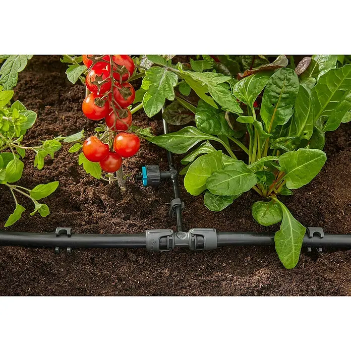 Gardena Micro-Drip Gotero lineal regulable - 5 ud., Caudal de agua máx.: 8 l/h - Primer plano de un sistema de riego de jardín doméstico conectado a tomateras y acelgas.