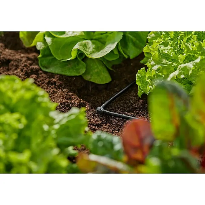 Gardena Micro-Drip L-Stück - Durchmesser Anschluss: 4,6 mm, 10 Stk., Kunststoff - Nahaufnahme von Salatpflanzen mit einem Bewässerungssystem, das für eine effiziente Wasserversorgung der Pflanzen sorgt.