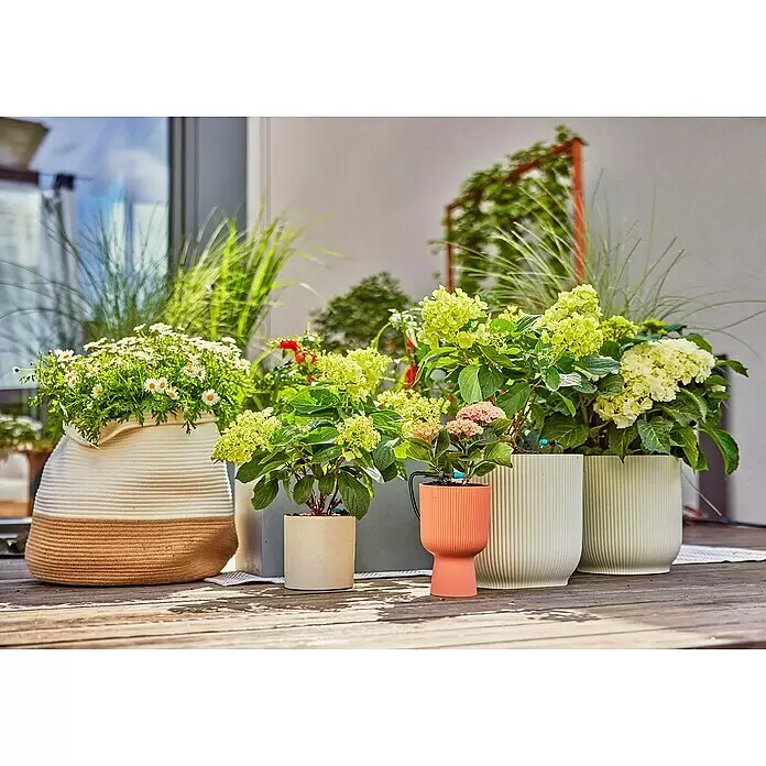 Gardena Micro-Drip Bewässerungs-Set Terrasse Start-Set - Passend für: Bis zu 30 Topfpflanzen - Verschiedene Topfpflanzen wie Hortensien und Gänseblümchen auf einer Holzterrasse, teils mit Bewässerungssystem, in unterschiedlichen Pflanzgefäßen.