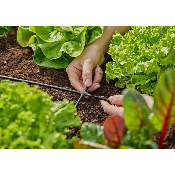Gardena Micro-Drip Kreuzstück - 3/16" x 4,6 mm, 10 Stk. - Hände verbinden schwarzes Tropfbewässerungsrohr und Kreuzverbinder zwischen Salatpflanzen in brauner Erde.