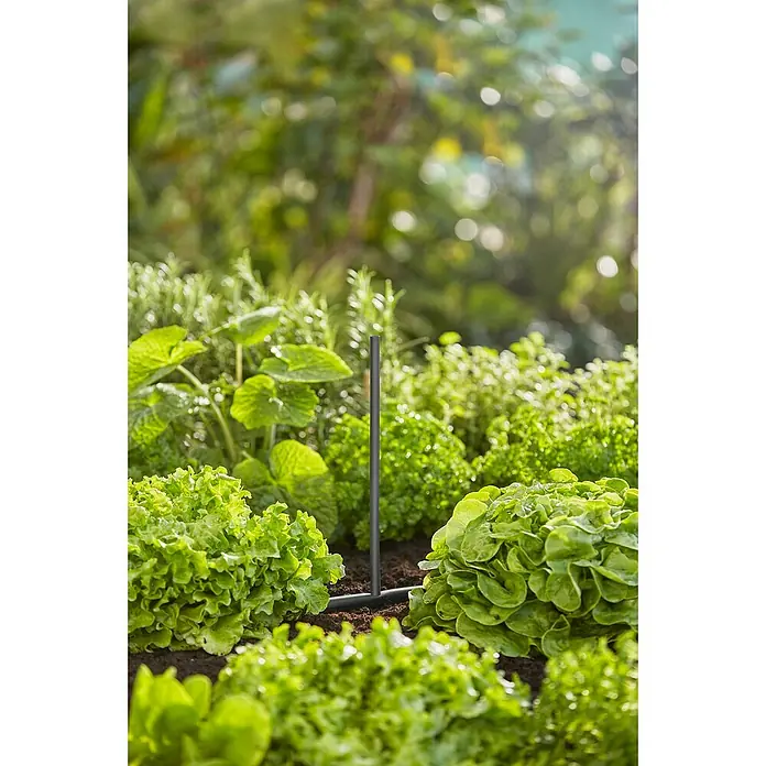 Gardena Micro-Drip Tubo prolongador para boquillas pulverizadoras - 5 ud., Largo: 20 cm - Sistema de riego automático en un huerto con lechugas y hierbas aromáticas al fondo. Ideal para jardineros aficionados.