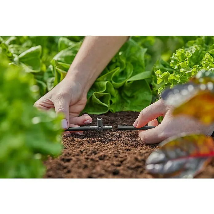 Gardena Micro-Drip Pieza T para boquillas pulverizadoras y goteros finales - 3/16" x 4,6 mm, 5 ud. - Primer plano de una persona instalando un sistema de riego por goteo con racor en T. Atención a la unión entre la manguera y el conector.