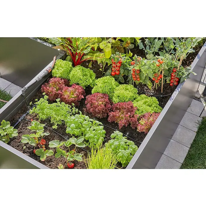 Gardena Micro-Drip Bewässerungs-Set Hochbeet/Beet Start-Set - 35 -tlg., Geeignet für: Reihenbewässerung, 35 Pflanzen - Hochbeet mit einer Vielfalt an frischem Gemüse und Kräutern wie Salat, Tomaten, Basilikum und Erdbeeren, bewässert mit einem Tropfsystem.