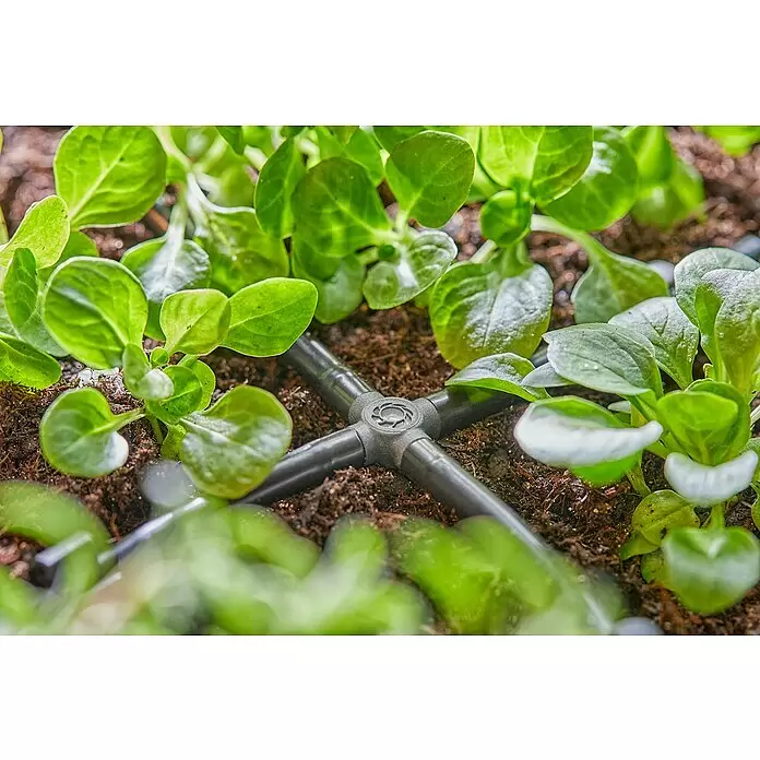 Gardena Micro-Drip Kreuzstück - 3/16" x 4,6 mm, 10 Stk. - Schwarzer Kunststoff-Tropfbewässerungs-Kreuzverbinder mit Schläuchen zwischen grünen Pflanzensetzlingen in Erde.