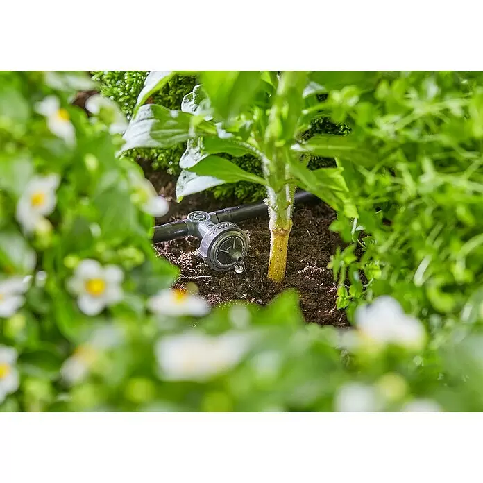 Gardena Micro-Drip Reihentropfer druckregulierend - 10 Stk. - Schwarzer/grauer Kunststoff-Tropfer bewässert eine Pflanze, ein Wassertropfen tritt aus.