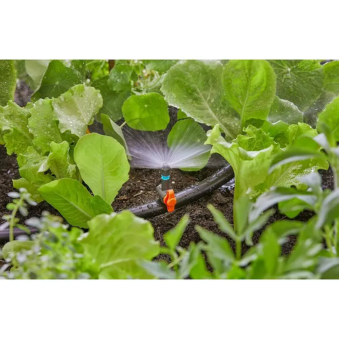 Gardena Micro-Drip Tobera pulverizadora 180° - 5 ud., 180° - Sistema de riego para plantas en el jardín. El dispositivo de riego está instalado en una tubería negra y riega las plantas circundantes.