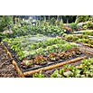 Gardena Micro-Drip Bewässerungs-Set Gemüse-/Blumenbeet Start-Set (Passend für: Gemüse- & Blumenbeete bis 40 m²) | BAUHAUS