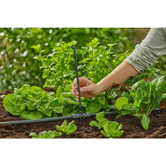 Gardena Micro-Drip Tubo prolongador para boquillas pulverizadoras - 5 ud., Largo: 20 cm - Se está instalando un sistema de riego en un jardín con lechuga y otras verduras para un riego eficiente.