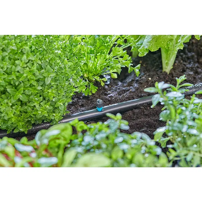 Gardena Micro-Drip Streifendüse - 5 Stk., Wurfweite: 5,5 m - Nahaufnahme eines Bewässerungssystems mit einem Tropfer, der zwischen grünen Pflanzen auf dunkler Erde liegt.