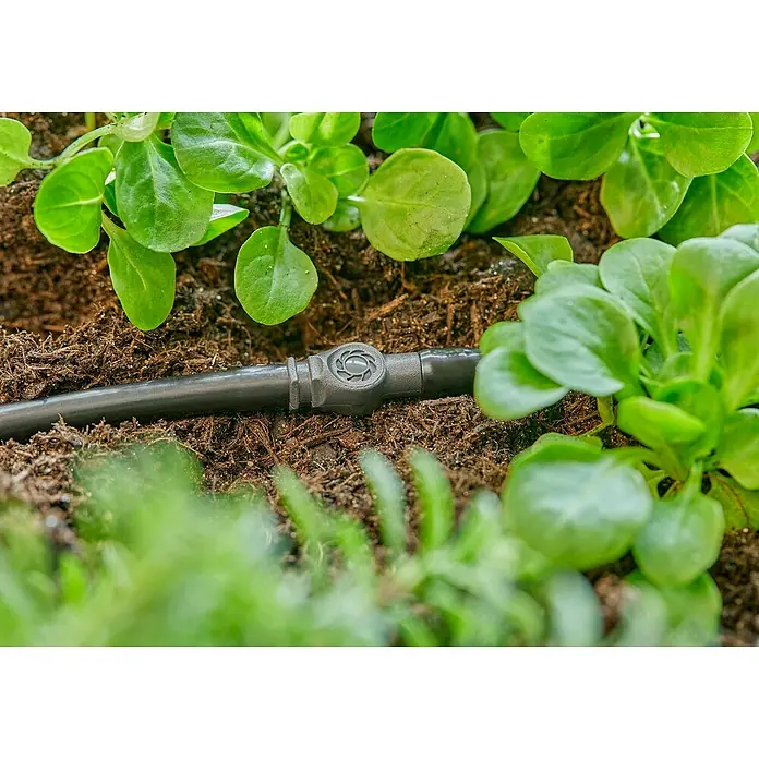 Gardena Micro-Drip Enchufe de conexión - 3/16" x 4,6 mm, 10 ud. - Primer plano de una línea de riego en el jardín, enclavada entre plantas verdes y tierra oscura, para un riego eficiente del jardín.