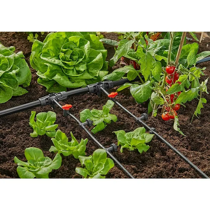 Gardena Micro-Drip Gotero lineal - 10 ud. - Primer plano de un jardín con un sistema de riego por goteo, que riega lechugas y tomates.