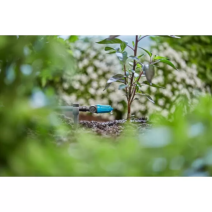 Gardena Micro-Drip Regulierbarer Endtropfer - 10 Stk., Max. Wasserdurchfluss: 15 l/h - Ein schwarzer Tropfbewässerungsschlauch mit blauem Tropfer bewässert eine kleine Pflanze.
