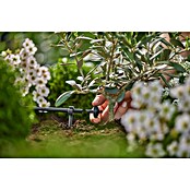 Gardena Micro-Drip Zaključni pršilnik  (10 kos, Maksimalni pretok vode: 2 l/h) | 7318 - Sprinklersysteme und Micro Drip | IAFB - Systemteile Wassertechnik | IAF - Wassertechnik | IA - Gartenhartware | I - Stadtgarten | BAUHAUS