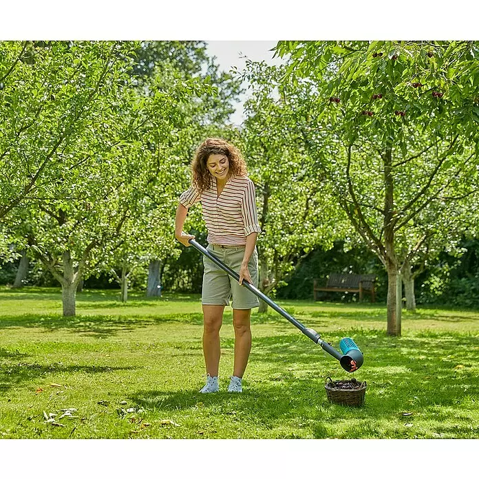 Gardena Combisystem Obstpflücker Beerensammler - 27,5 x 10,05 x 20,1 cm - Eine Frau sammelt mit einem langen, schwarz-blauen Obstsammler-Werkzeug heruntergefallene Kirschen in einen Korb im Obstgarten.