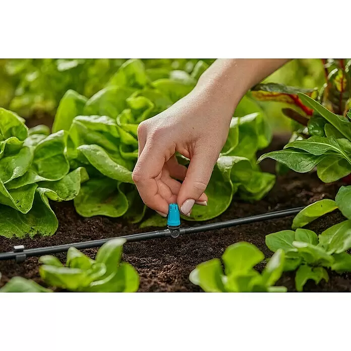 Gardena Micro-Drip Kleinflächendüse - 3/16" x 4,6 mm, 10 Stk. - Eine Hand justiert einen blau gekappten Tropfbewässerungsemitter an schwarzem Schlauch, der Salat in einem Gartenbeet bewässert.