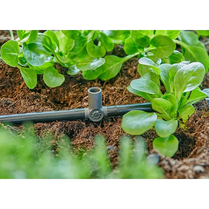 Gardena Micro-Drip Pieza T para boquillas pulverizadoras y goteros finales - 3/16" x 4,6 mm, 5 ud. - Primer plano de un sistema de riego por goteo con una línea de goteo y un accesorio en T entre plantas verdes en el jardín.