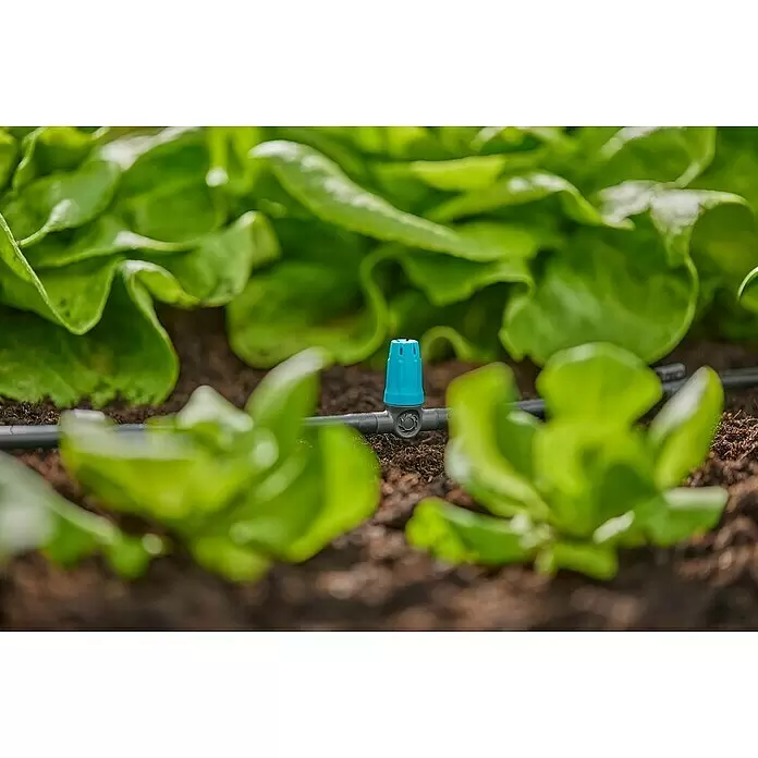 Gardena Micro-Drip Kleinflächendüse - 3/16" x 4,6 mm, 10 Stk. - Blau-grauer Bewässerungstropfer mit schwarzem Schlauch zwischen grünen Salatpflanzen in Erde.