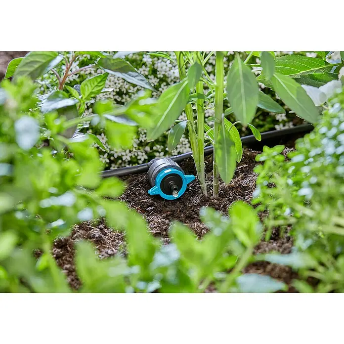 Gardena Micro-Drip Reihentropfer druckregulierend - 5 Stk., Max. Wasserdurchfluss: 8 l/h - Nahaufnahme eines Gardena Micro-Drip-Systems, das eine präzise Bewässerung von Pflanzen im Garten ermöglicht.