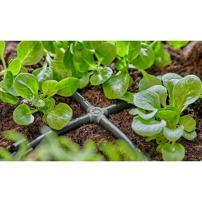 Gardena Micro-Drip Kreuzstück - 3/16" x 4,6 mm, 10 Stk. - Nahaufnahme von jungen Pflanzen, die mit einem Bewässerungssystem versorgt werden, das präzise Wasserzufuhr ermöglicht.