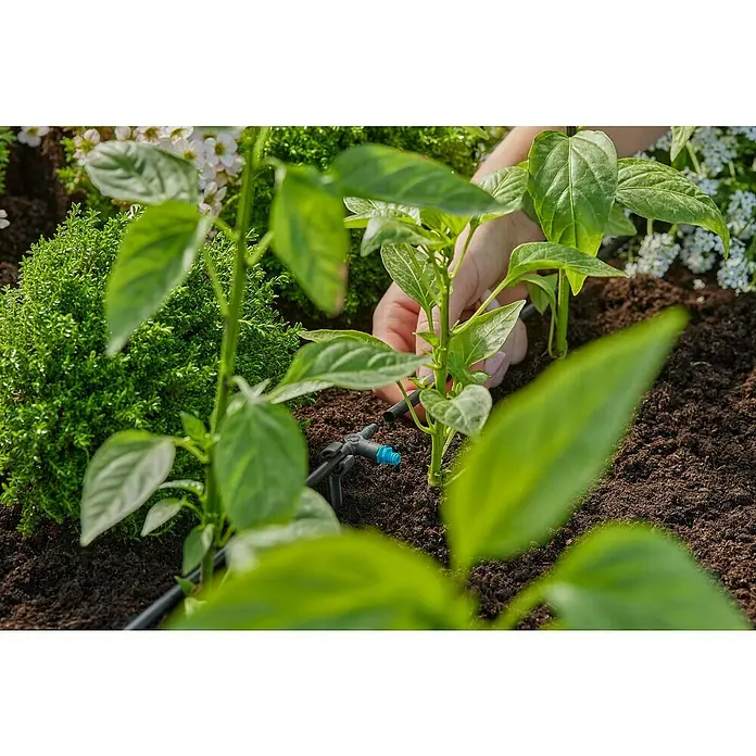 Gardena Micro-Drip Gotero lineal - 10 ud., Caudal de agua máx.: 2 l/h - Primer plano de un sistema de riego en el jardín.