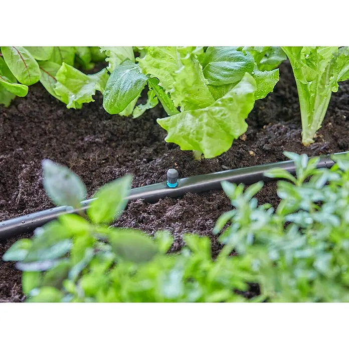 Gardena Micro-Drip Tobera pulverizadora - 5 ud., 90° - Primer plano de un sistema de riego en un jardín con lechuga fresca y hierbas verdes en primer plano.