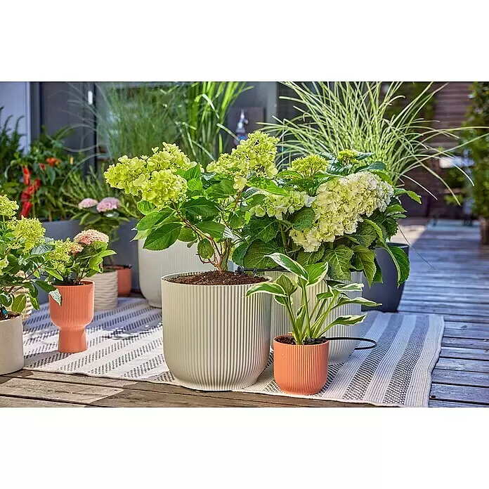 Gardena Micro-Drip Bewässerungs-Set Terrasse Start-Set - Passend für: Bis zu 30 Topfpflanzen - Gerippte Pflanzgefäße in Beige und Terrakotta, gefüllt mit Hortensien und Funkien, auf einer Terrasse mit gestreiftem Teppich.