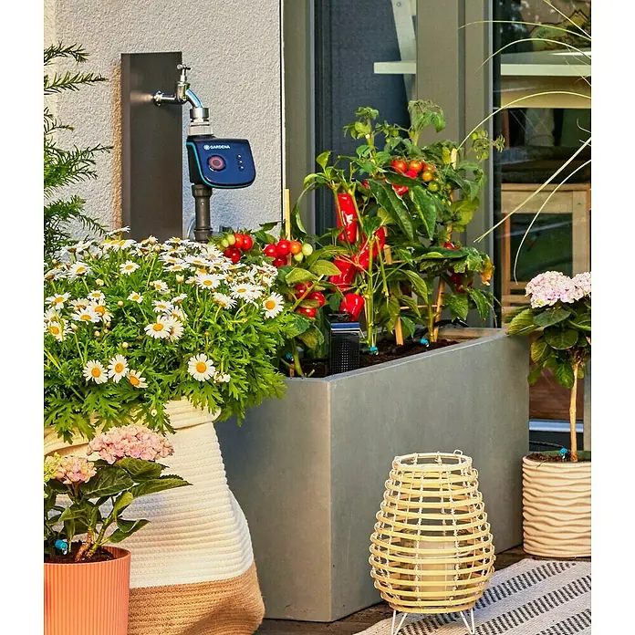 Gardena Micro-Drip Bewässerungs-Set Terrasse Start-Set - Passend für: Bis zu 30 Topfpflanzen - Elegante Gartenszene mit einem Gardena Bewässerungscomputer, umgeben von blühenden Pflanzen und reifen Tomaten.